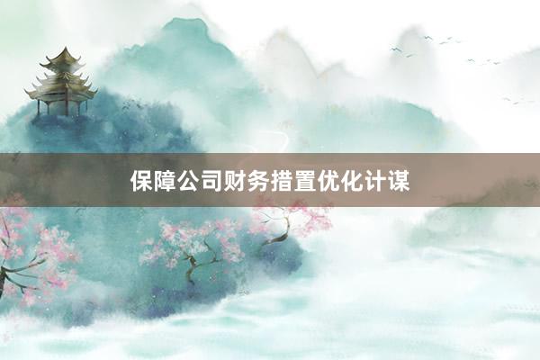 保障公司财务措置优化计谋